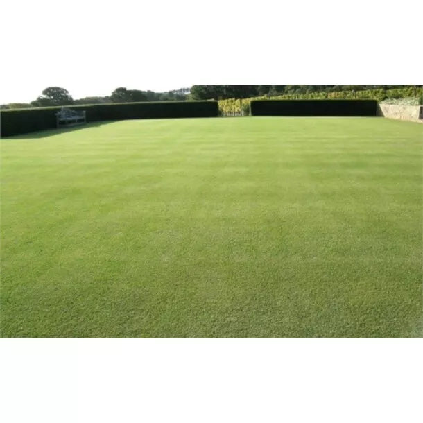 iO Seed Water-Less Lawn Blend 25kg **