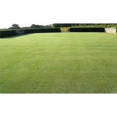 iO Seed Water-Less Lawn Blend 25kg **