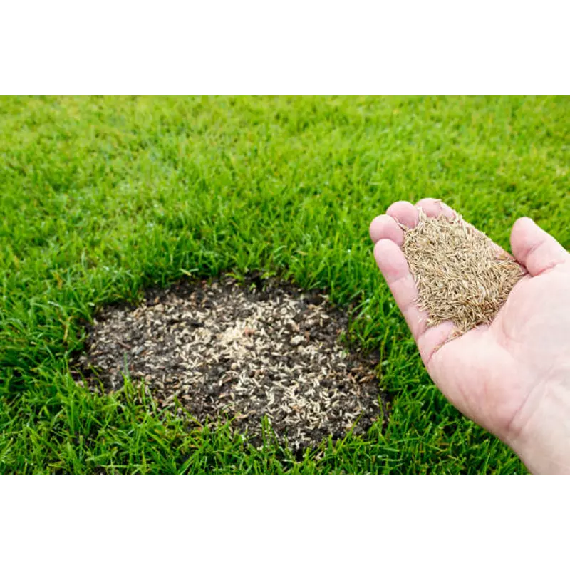 iO Seed Water-Less Lawn Blend 5kg **