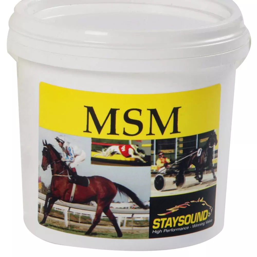 Staysound MSM 1kg **