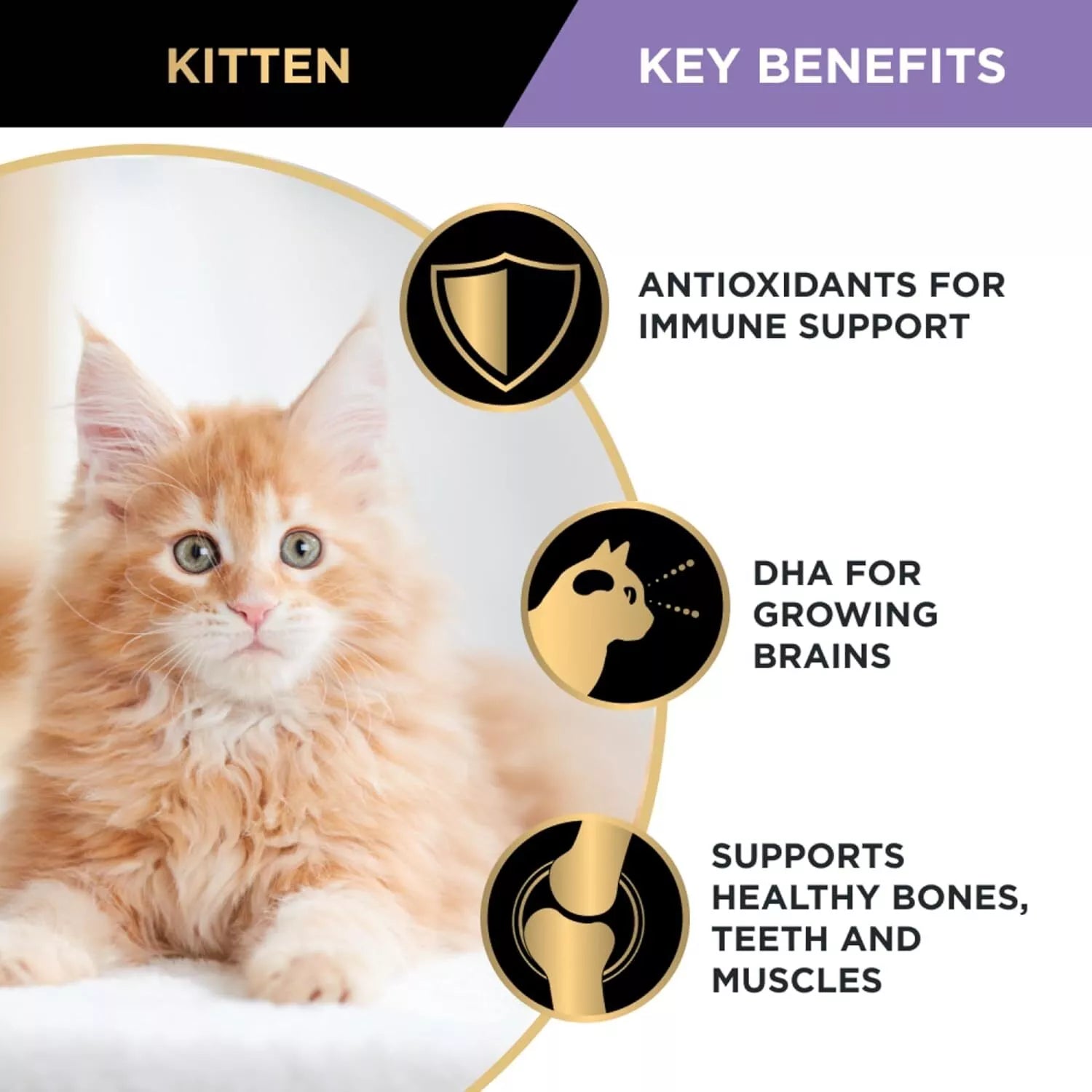Pro Plan Kitten Chicken 12x85g **