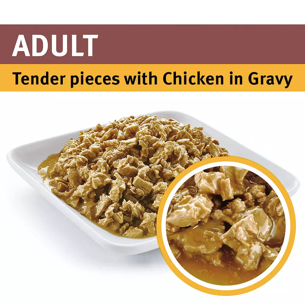 Pro Plan Adult Cat Chicken 12x85g **