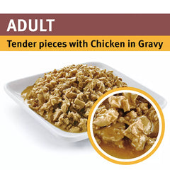 Pro Plan Adult Cat Chicken 12x85g **