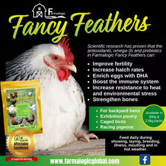 EVM Fancy Feathers 2.8kg ##