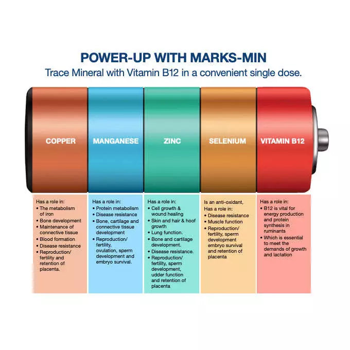 BI Marks-Min Plus B12 500ml *@