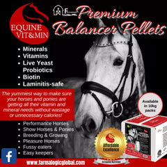 EVM Premium Balancer Pellets 10kg **