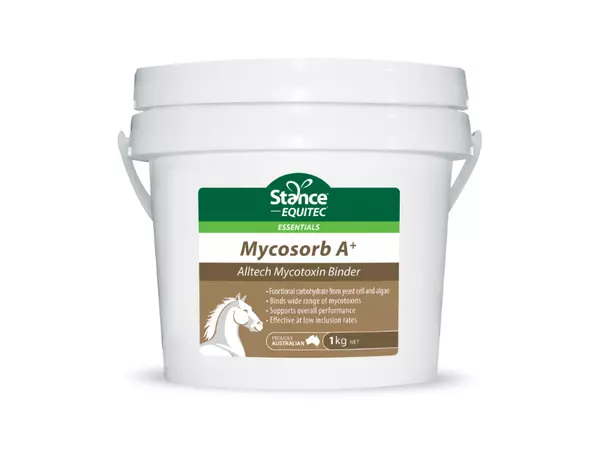 Stance Essentials Mycosorb A+ 1kg **