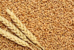 Syngenta Dual Gold 20ltr (S-Metolac) **