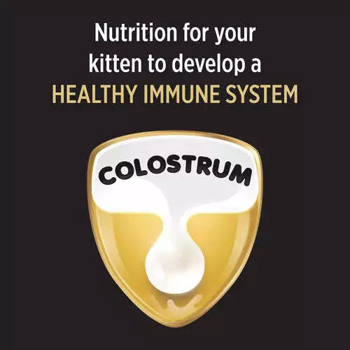 Pro Plan Kitten 1.5kg *