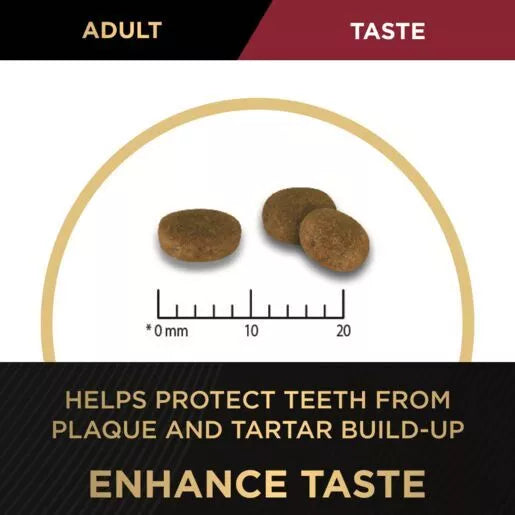 Pro Plan Adult Cat Salmon 1.5kg *