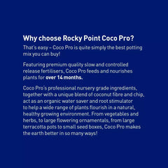 Rocky Point Coco Pro 50lt (Syd/Tam)*
