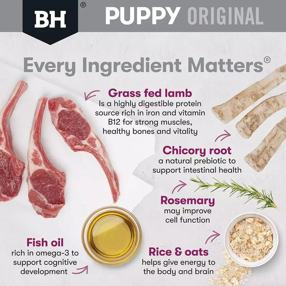 Blackhawk Puppy Sml Lamb/Rice 3kg *