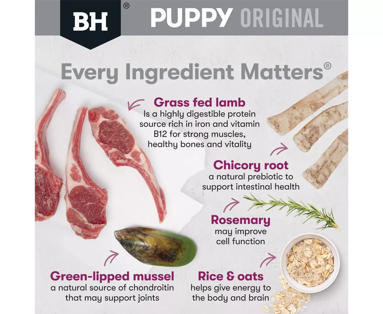 Blackhawk Puppy Lg Lamb/Rice 20kg *