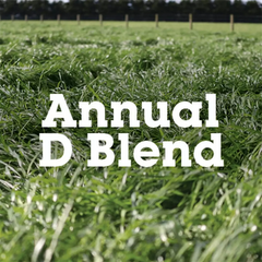 iO Annual D Blend 25Kg !