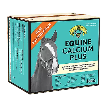 Olsson Calcium Plus 2kg Block **