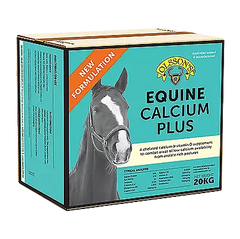 Olsson Calcium Plus 2kg Block **