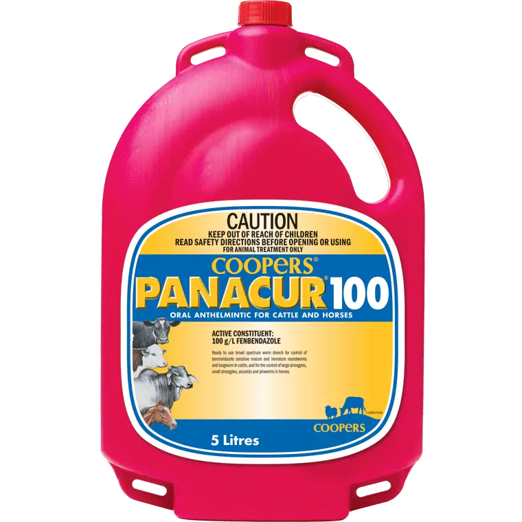 Intervet Panacur 100 5ltr **