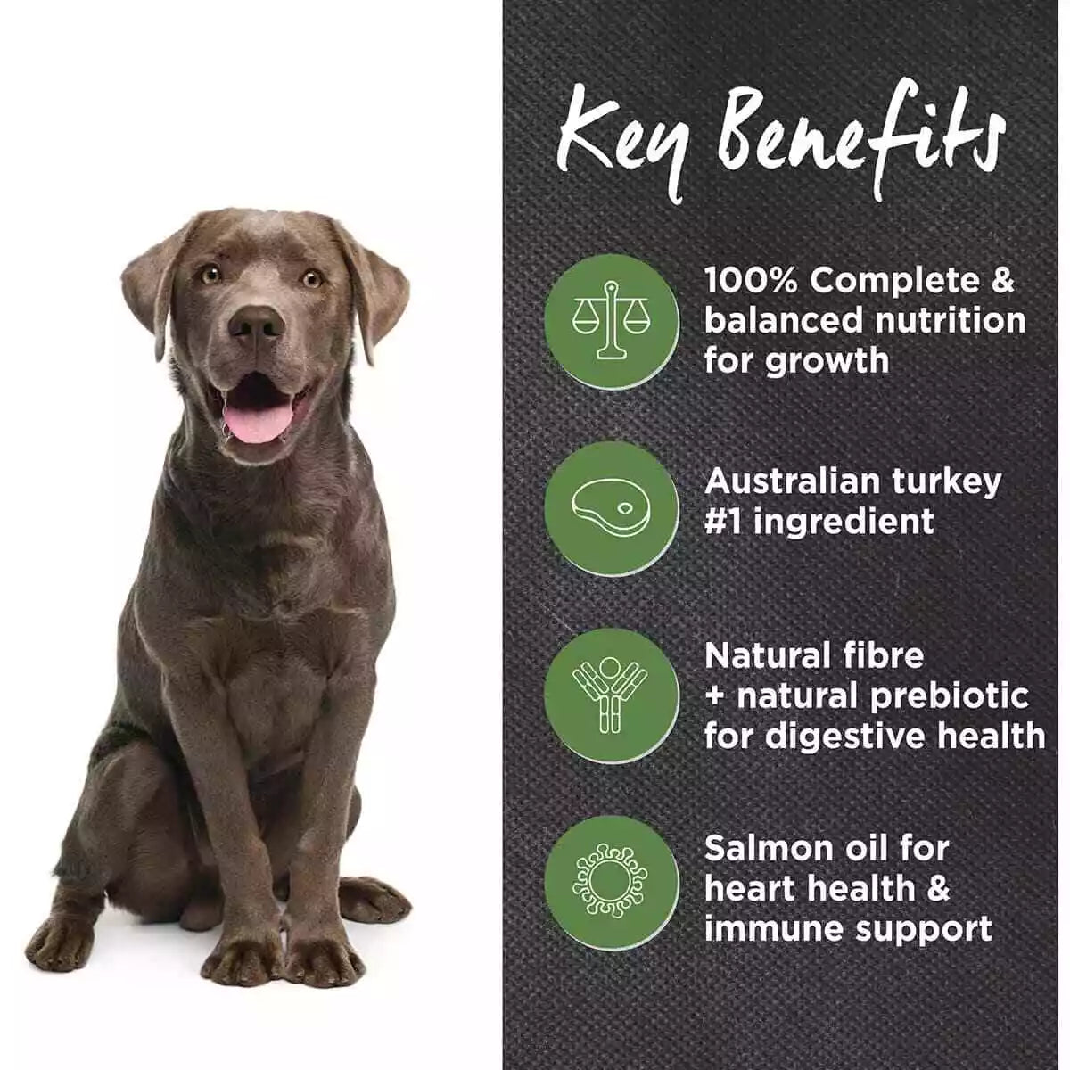 IC Adult LB Turkey & Brown Rice 15kg**