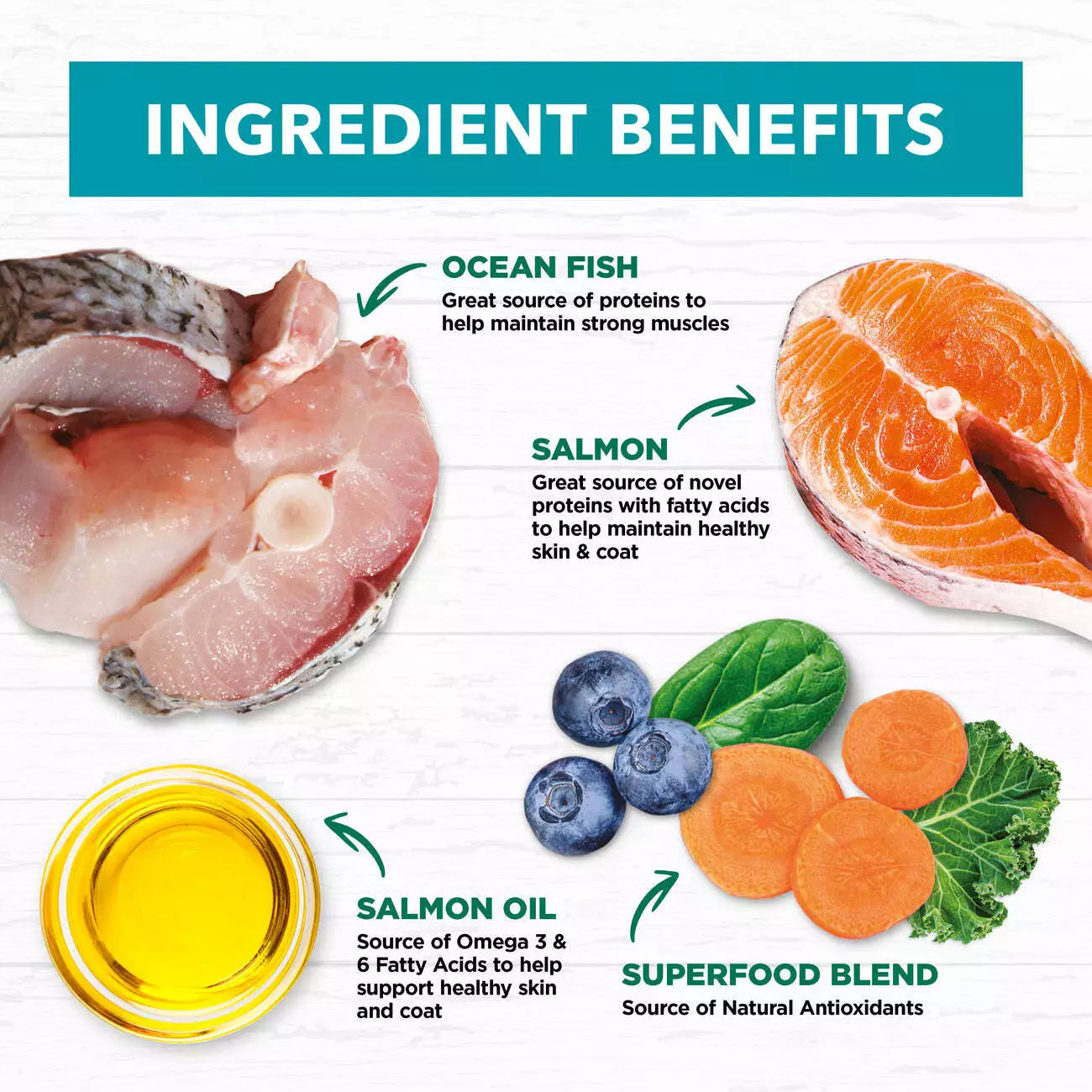 IC Cat Adult Oceanfish & Salmon 4kg**