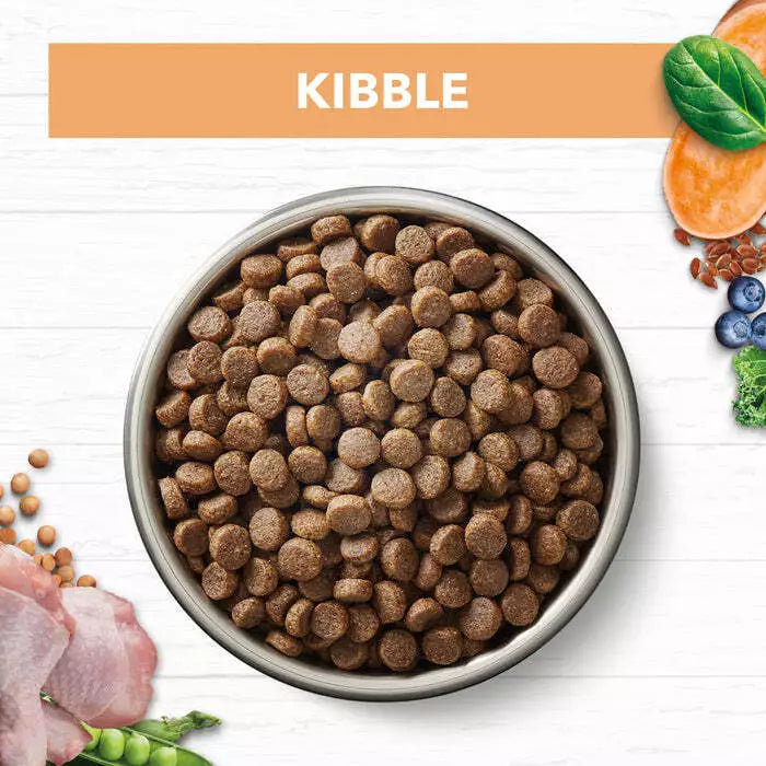 IC Kitten Grain Free Chicken 4kg**