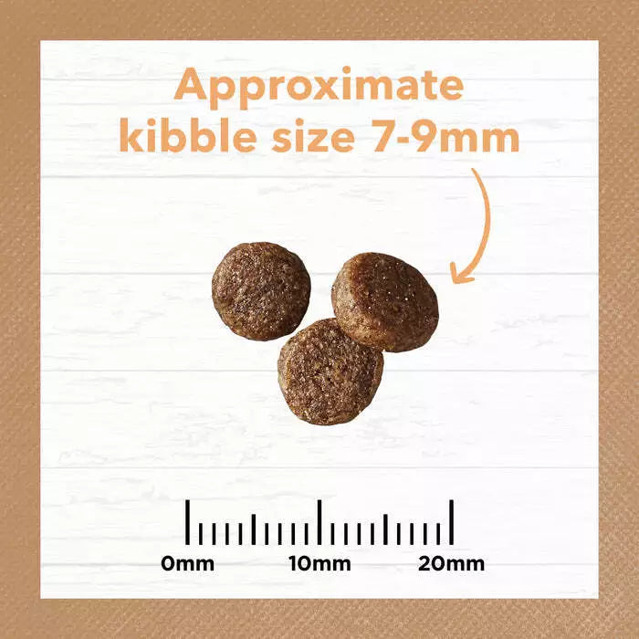 IC Kitten Grain Free Chicken 4kg**