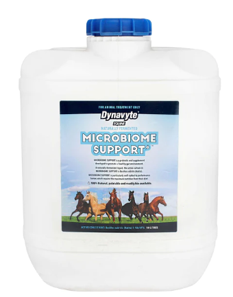 Dyna V Equine Microbiome Support 10L *