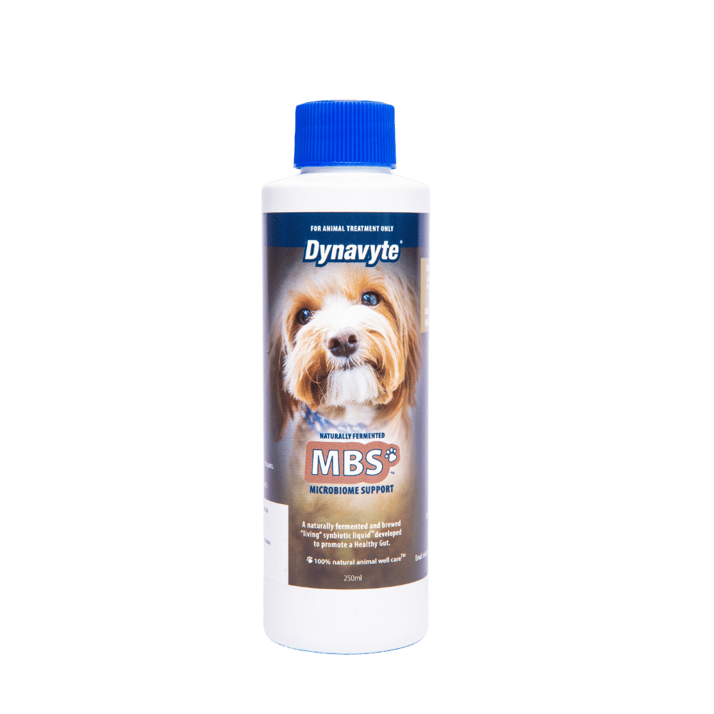 Dyna V Dog Microbiome Support 250ml *