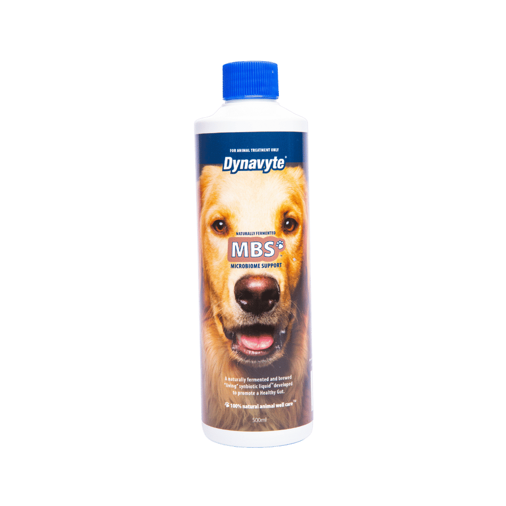 Dyna V Dog Microbiome Support 500ml *