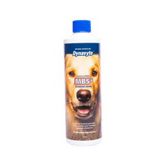 Dyna V Dog Microbiome Support 500ml *