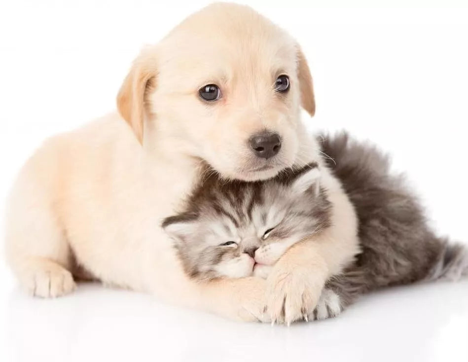 Jurox Vytrate Liquid 5ltr **@@