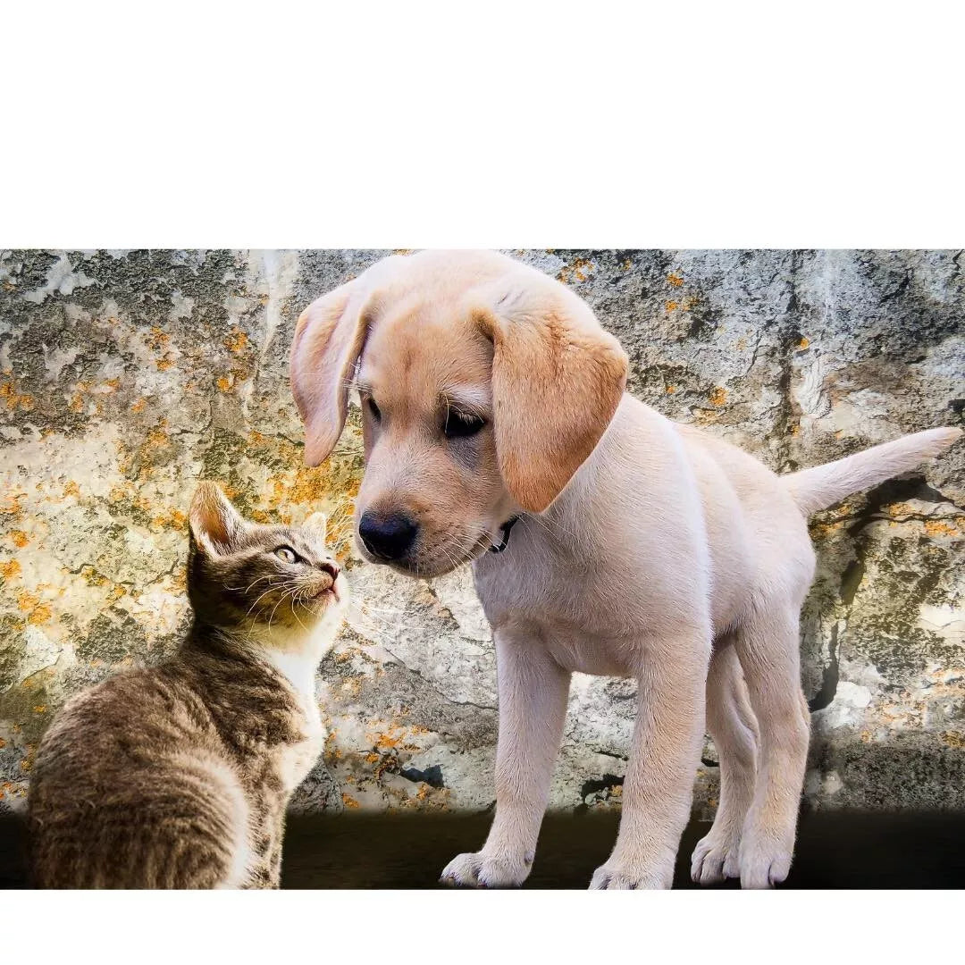 Jurox Vytrate Liquid 20ltr **@@