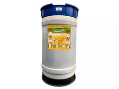 Apparent Dingo Chlorpyrifos 500 110ltr**