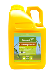 Apparent Clodinafop 5ltrs **