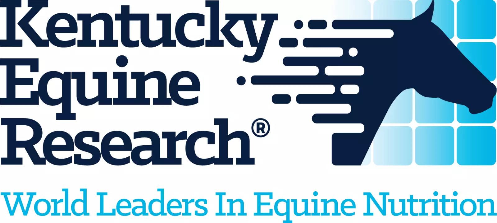 Kentucky B-Quiet 600gm **