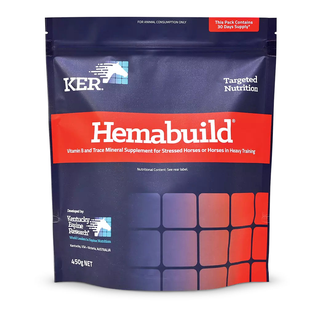 Kentucky Hemabuild 450gm **