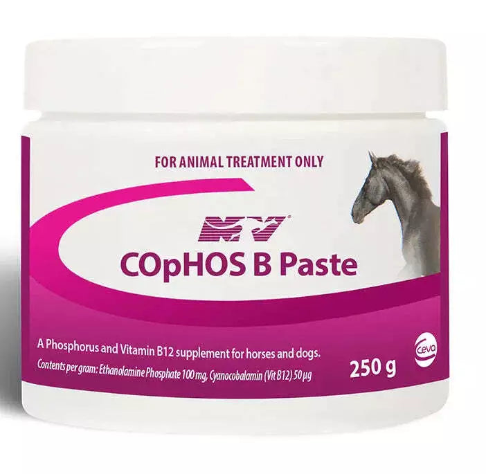 NV Cophos B Paste 250gm **@@