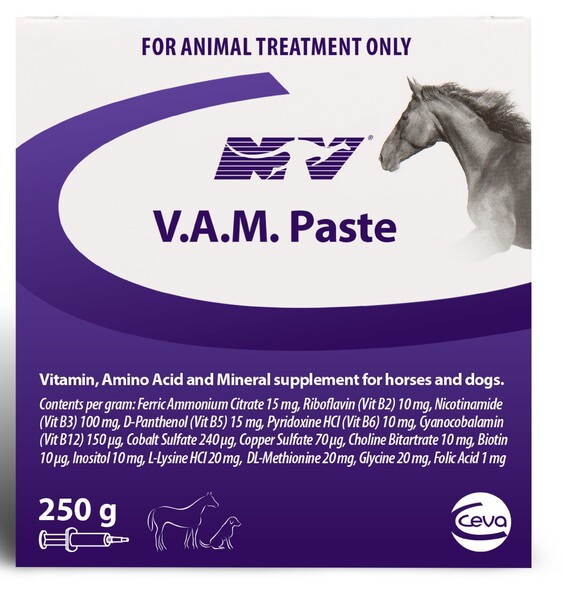 NV VAM Paste 250g **@@
