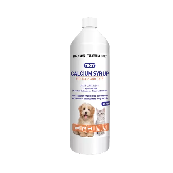 Troy Calcium Syrup 250ml **