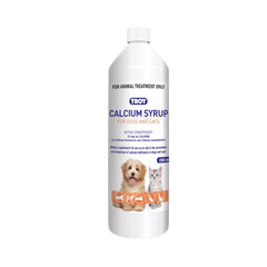 Troy Calcium Syrup 250ml **