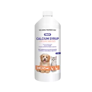 Troy Calcium Syrup 1ltr **