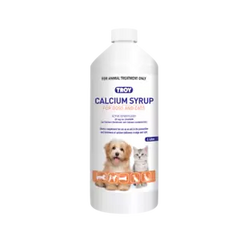 Troy Calcium Syrup 1ltr **