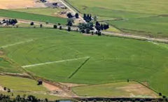 Apparent Glyphosate 450 1000ltrs **