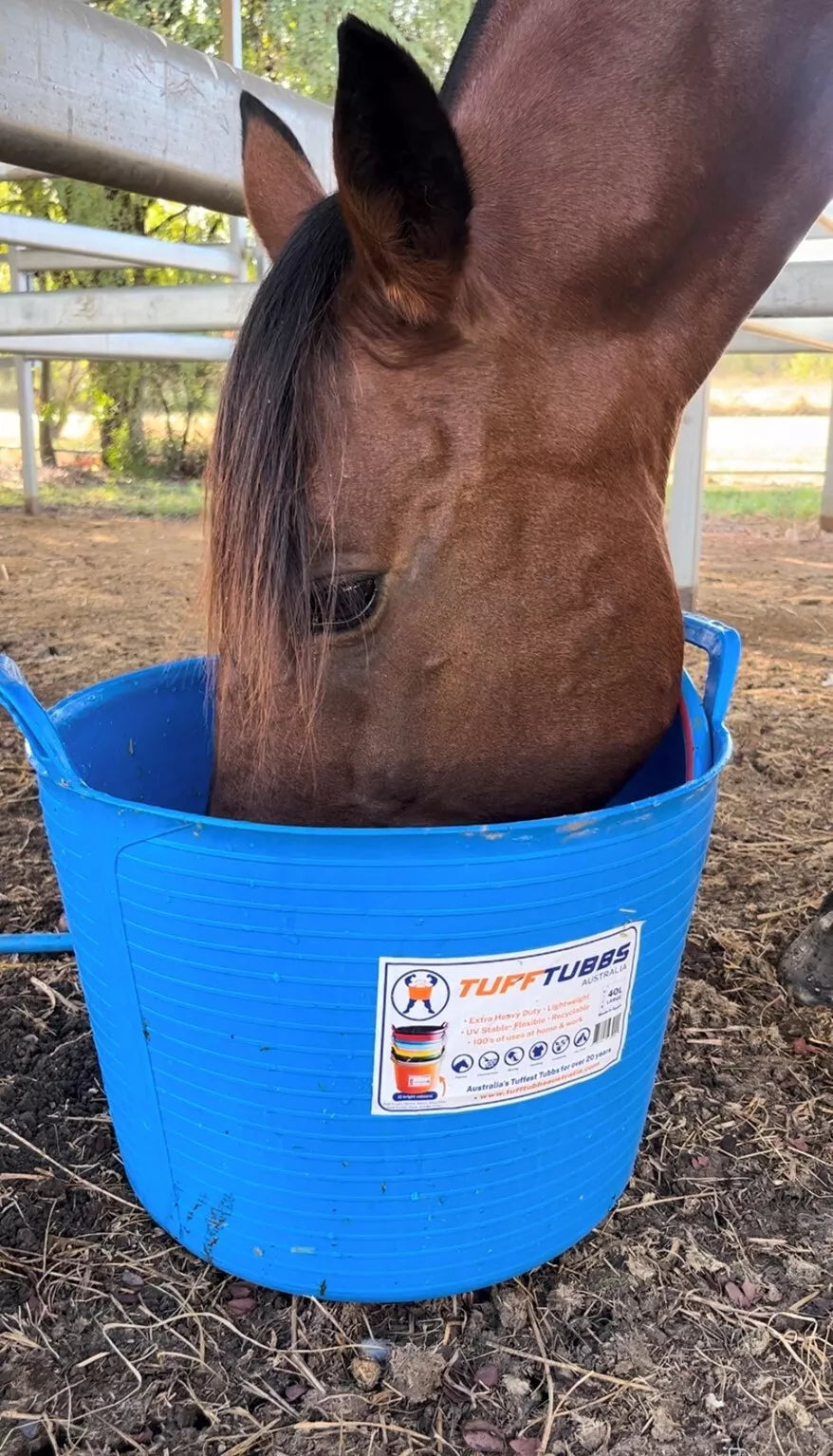 Tuff Tub Bucket Green 40lt