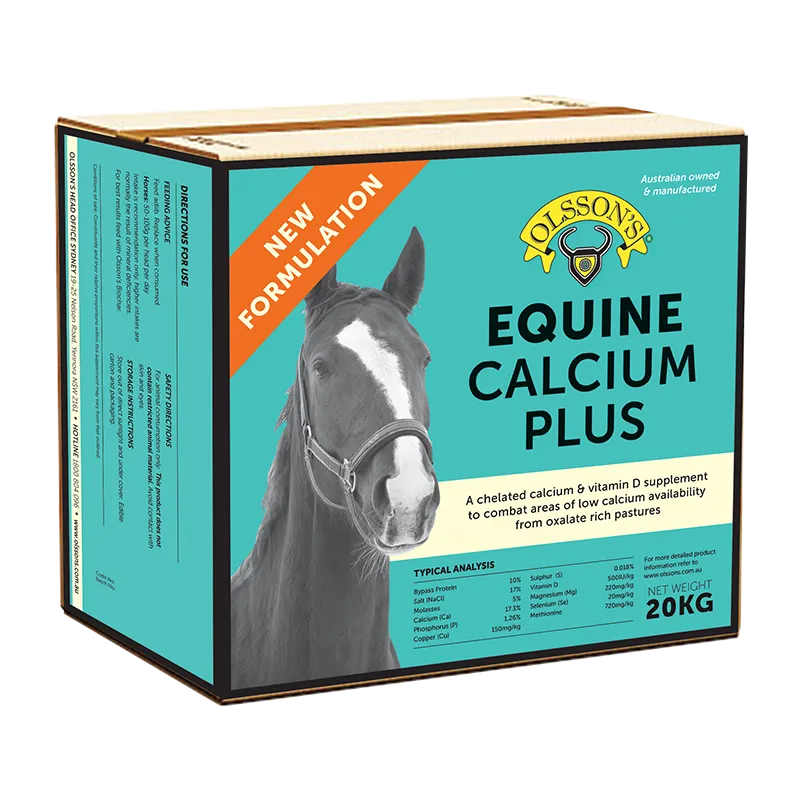 OLSSON SALTLICK EQUINE CALCIUM PLUS 20KG