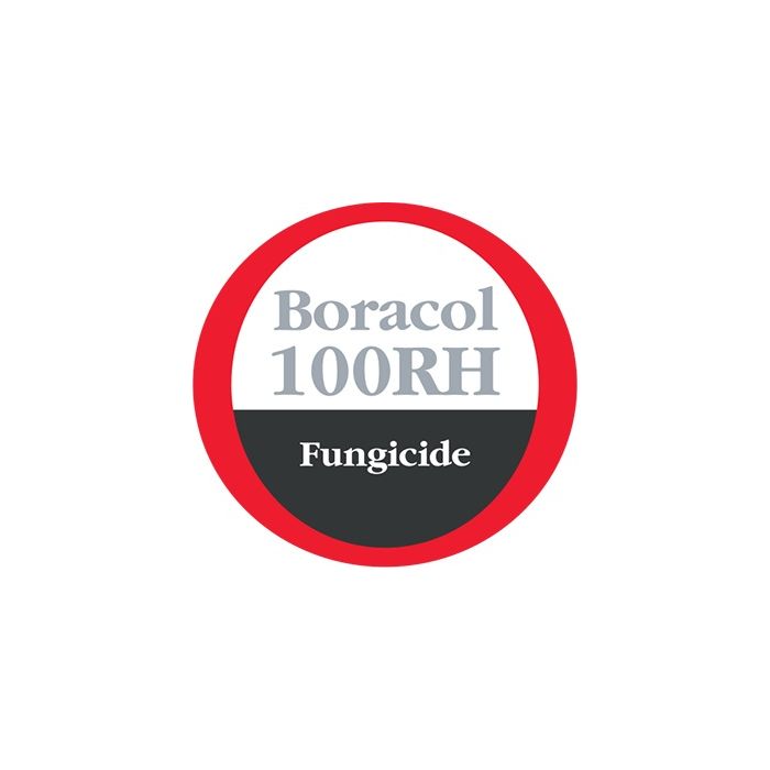 BORACOL 100RH 20L