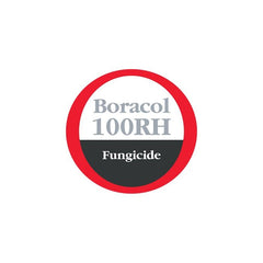 BORACOL 100RH 20L