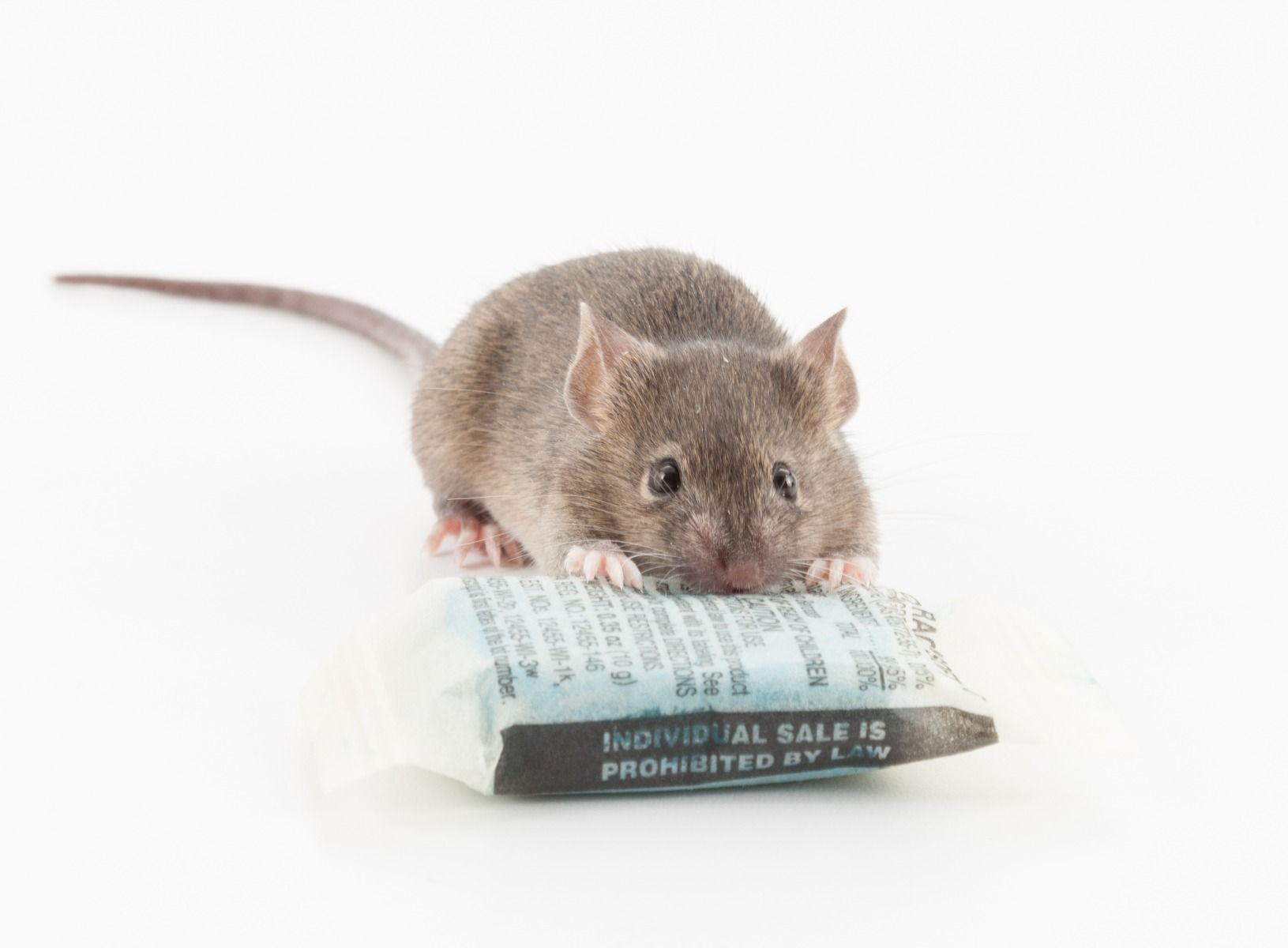 CONTRAC SOFT BAIT 7.25KG