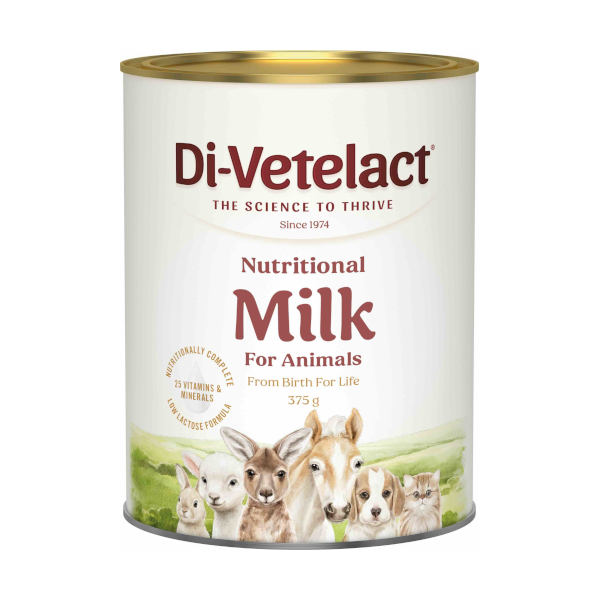 Divetelact 375g