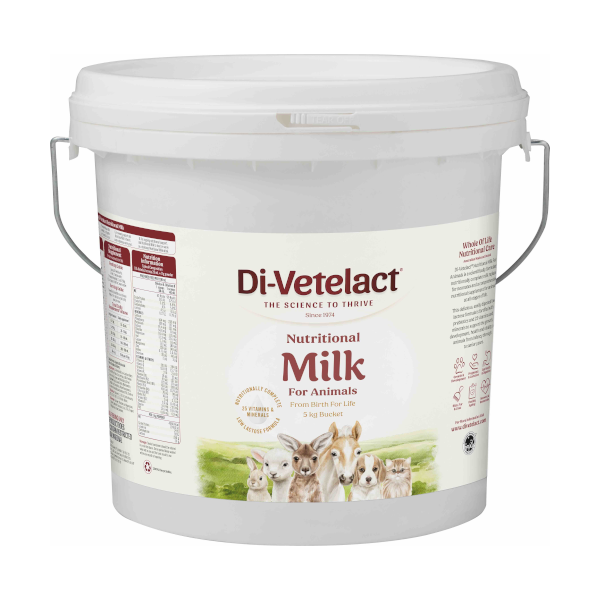 Divetelact 5kg (Bucket)