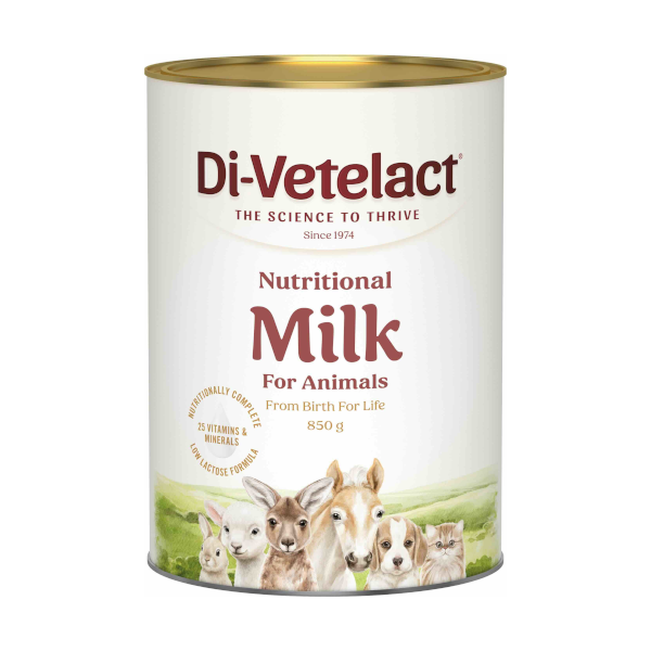 Divetelact Nutritional Milk 850g